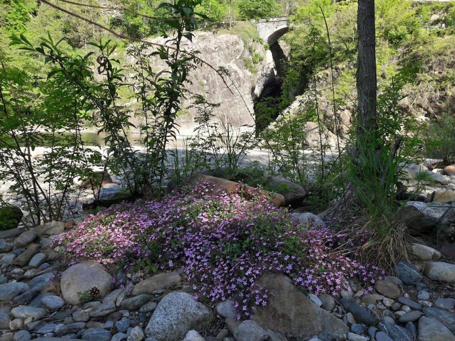 Appartamento La Meridiana A Traffiume Cannobio Buitenkant foto