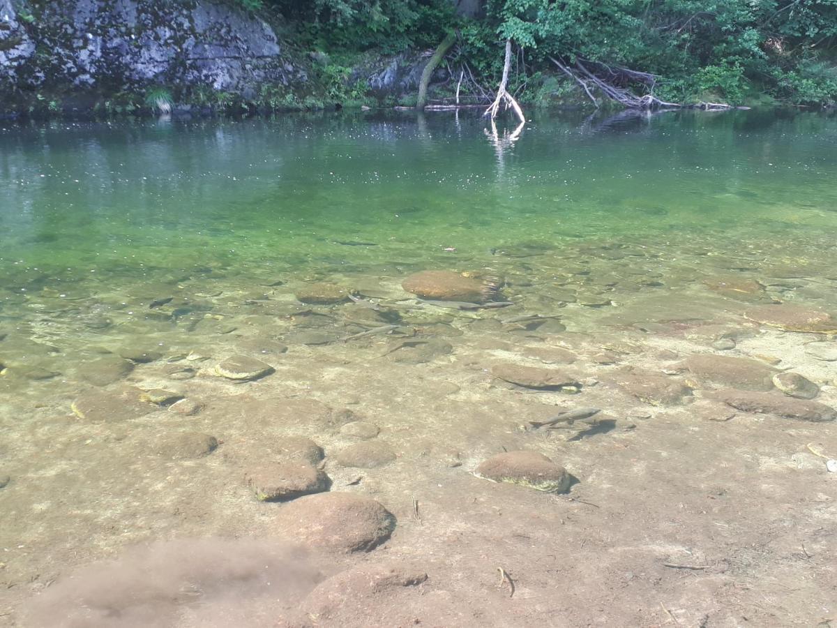Appartamento La Meridiana A Traffiume Cannobio Buitenkant foto